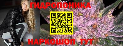 индика Малгобек