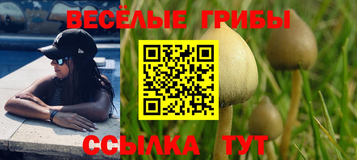 Галлюциногенные грибы MAGIC MUSHROOMS  Вход с VPN  купить   Кулебаки 